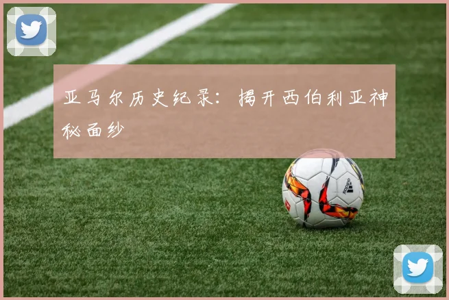 亚马尔历史纪录:揭开西伯利亚神秘面纱